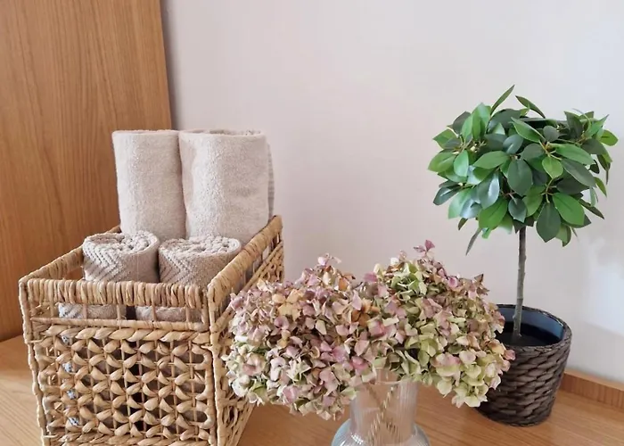 Homeserra 2 * Bologna