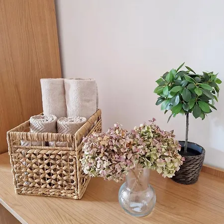 Homeserra 2 * Bologna